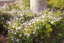 320 ronda hotelgarten